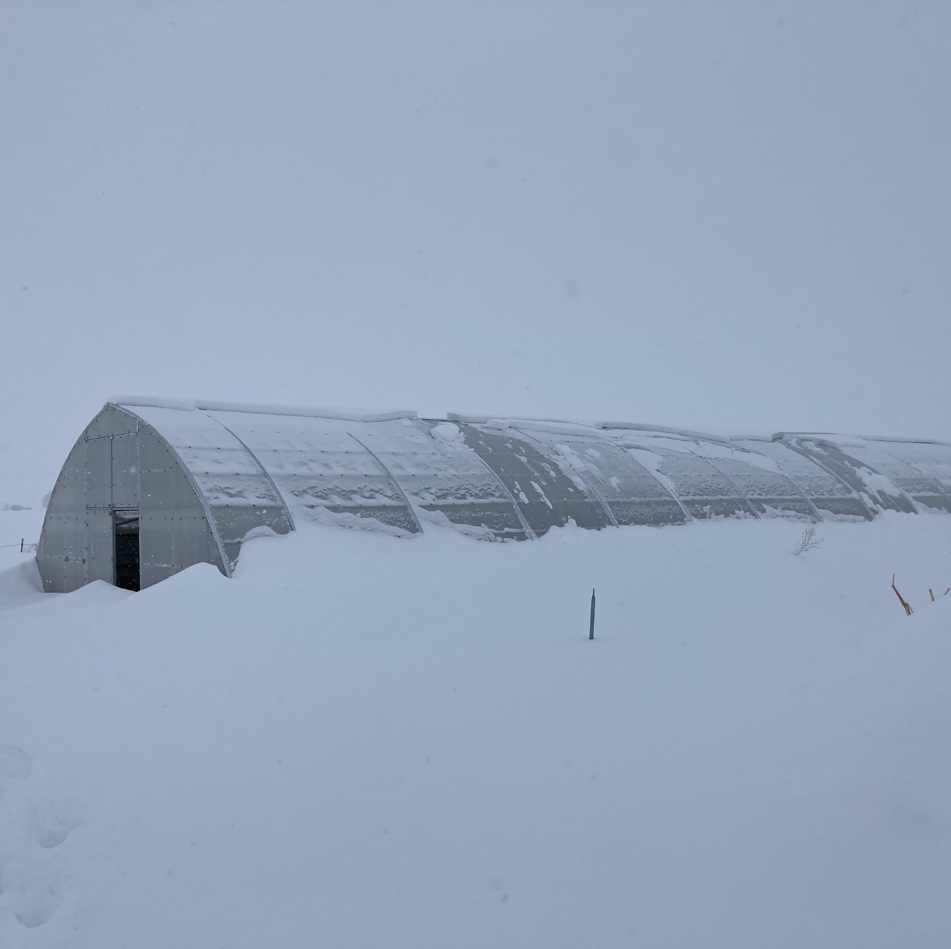 Greenhouse in Heavy Snow and Harsh Winds